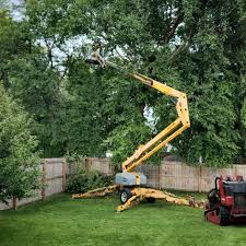  Lovettsville, VA Tree Services Pros