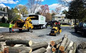 Leaf Removal in Lovettsville, VA