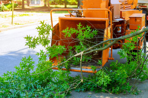 Best Aeration Services  in Lovettsville, VA