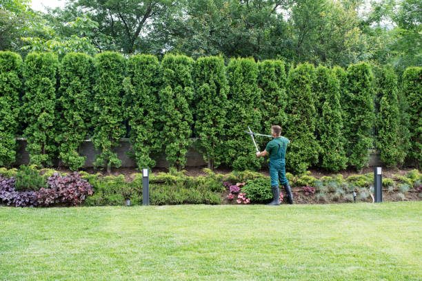 Best Lawn Mowing  in Lovettsville, VA