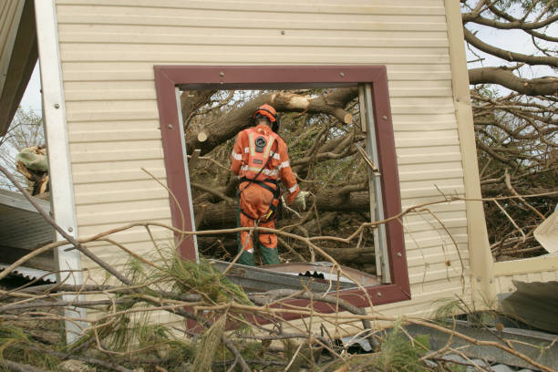 Best Commercial Tree Services  in Lovettsville, VA